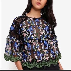 TOPSHOP Embroidered Mesh Top